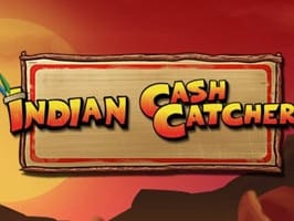 Indian Cash Catcher screenshot